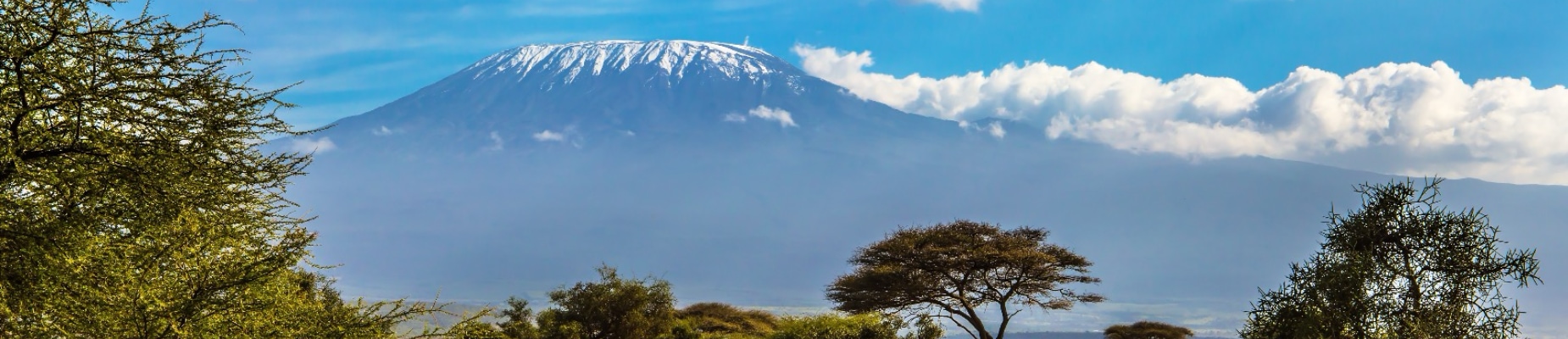 Kilimanjaro