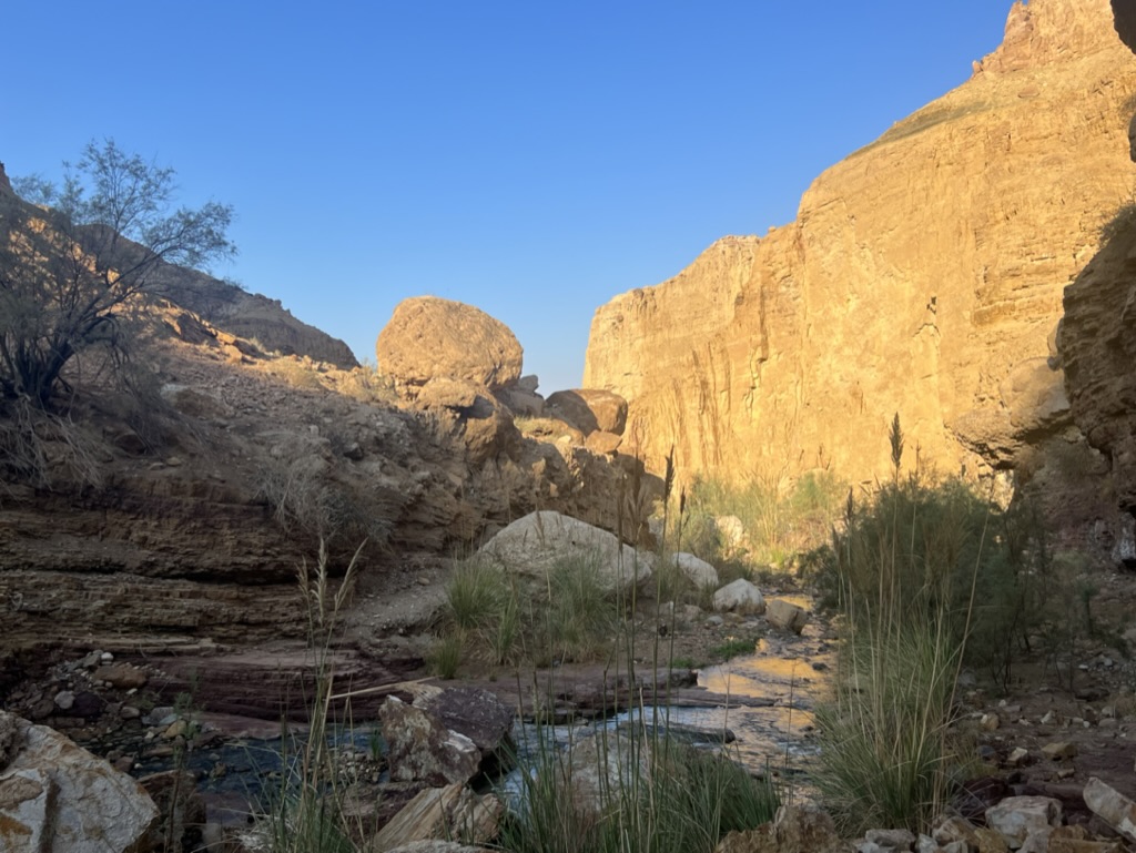 Wadi Mukheiris