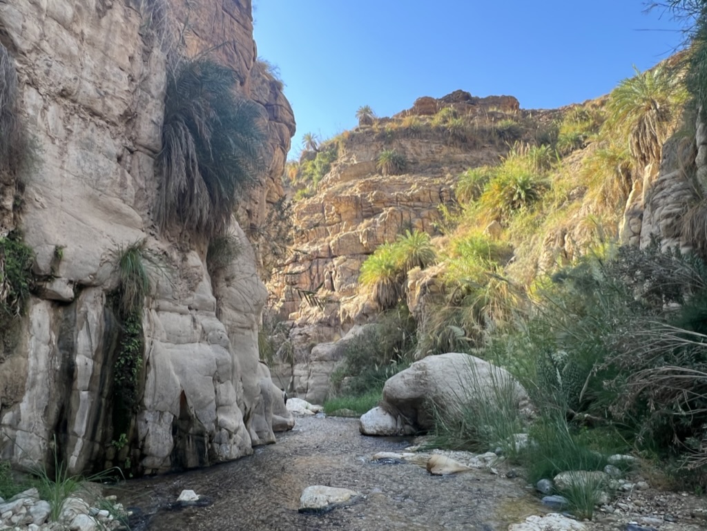 Wadi bin Hammad Hike