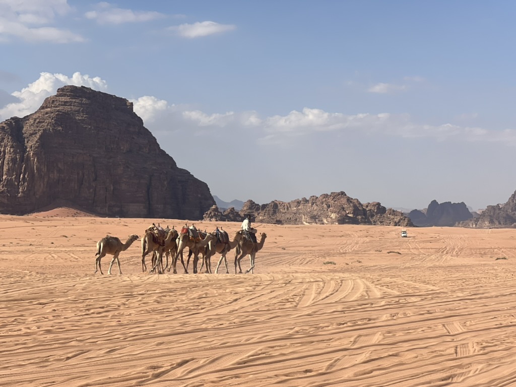 Kamelen in Wadi Rum