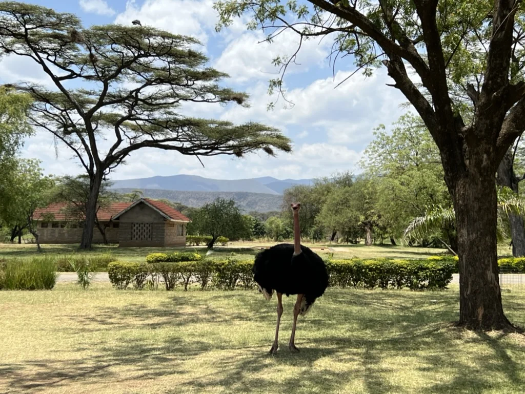 lake bogoria spa resort