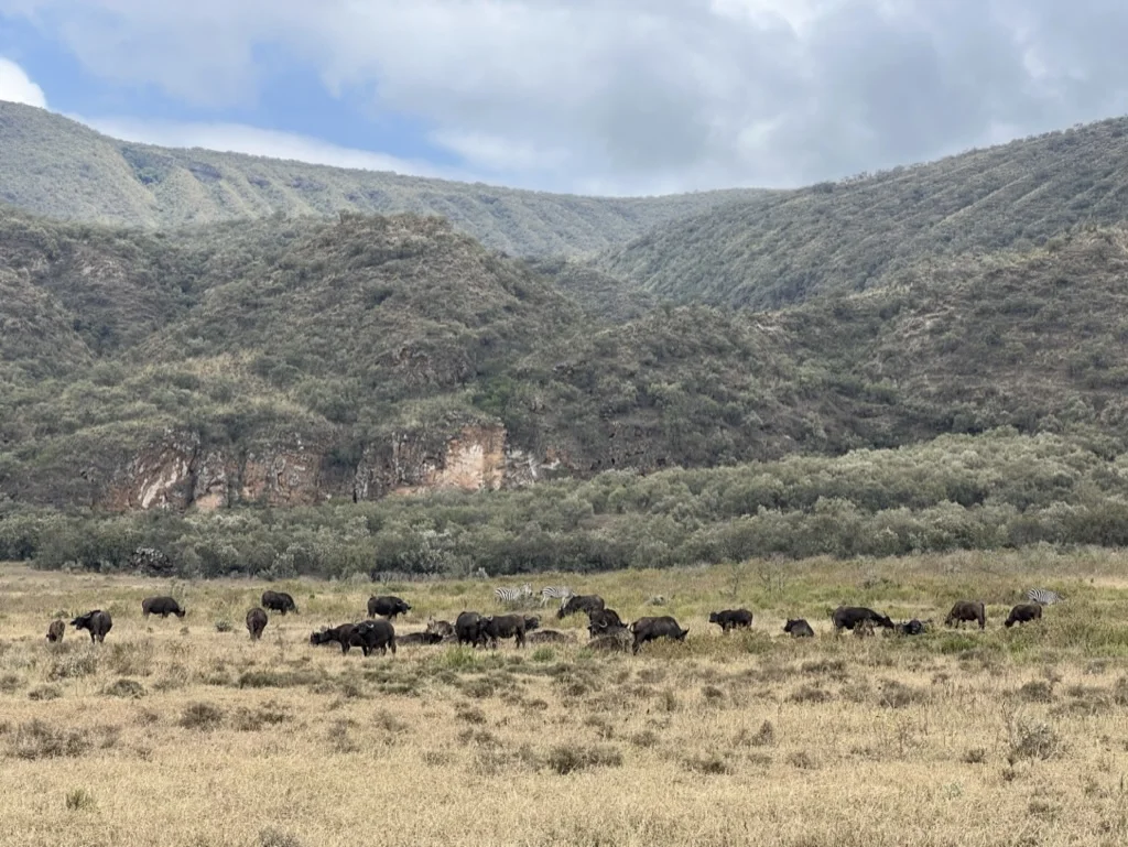 Hell's Gate National Park