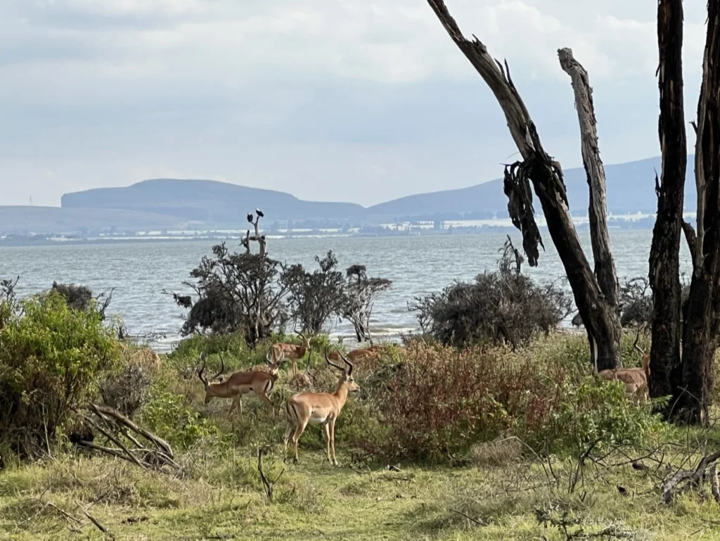 Crescent Island Kenia