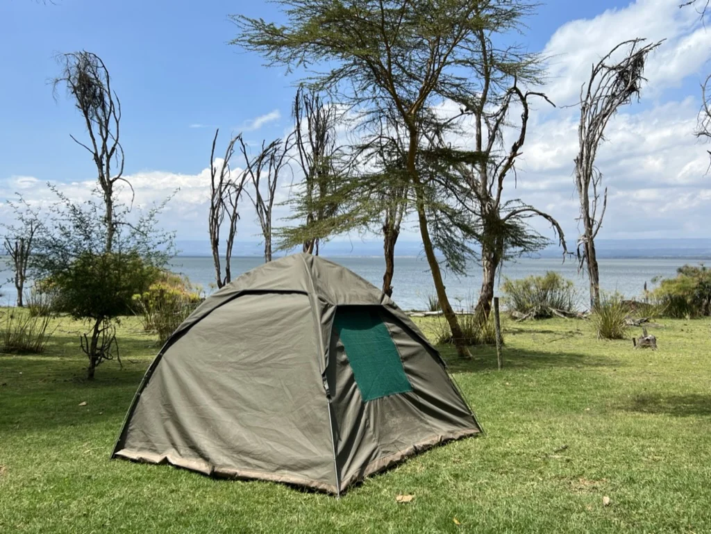 Shoestring singlereis tent