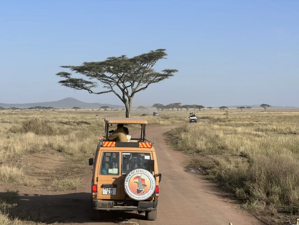 Safari Jeeps Serengeti National Park
