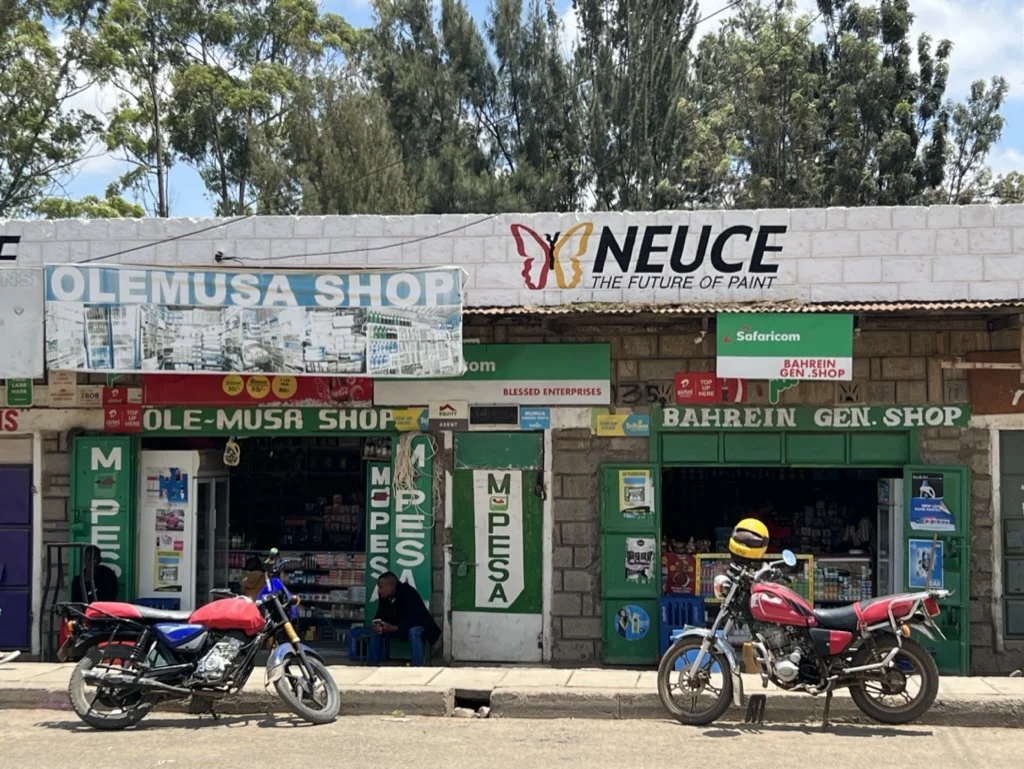 Shoestring Singlereis Kenia en Tanzania