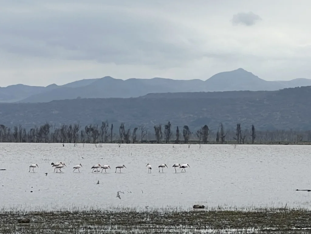 Lake Manyara tanzania