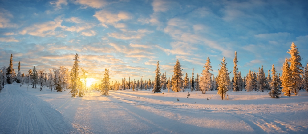 Fins lapland