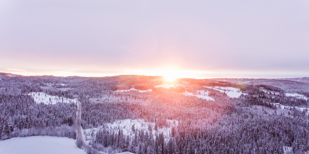 Lapland Besneeuwd woud