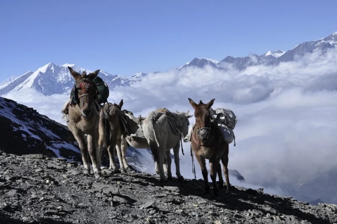 Annapurna Circuit