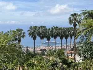 Funchal Madeira