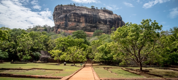 Leeuwenrots Sri Lanka
