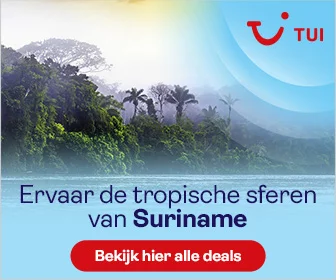 TUI single reizen banner