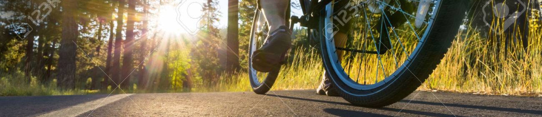 Fietsvakanties