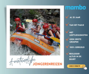 Mambo Reizen banner