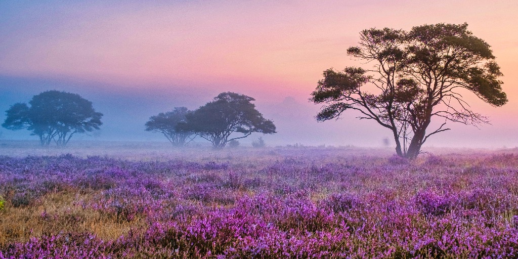 veluwe nederland