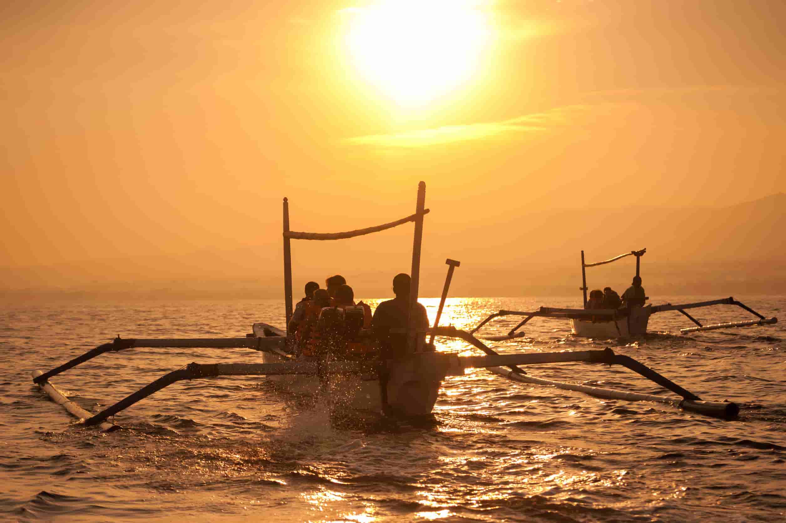 Dolfijnen spot boot Lovina Bali