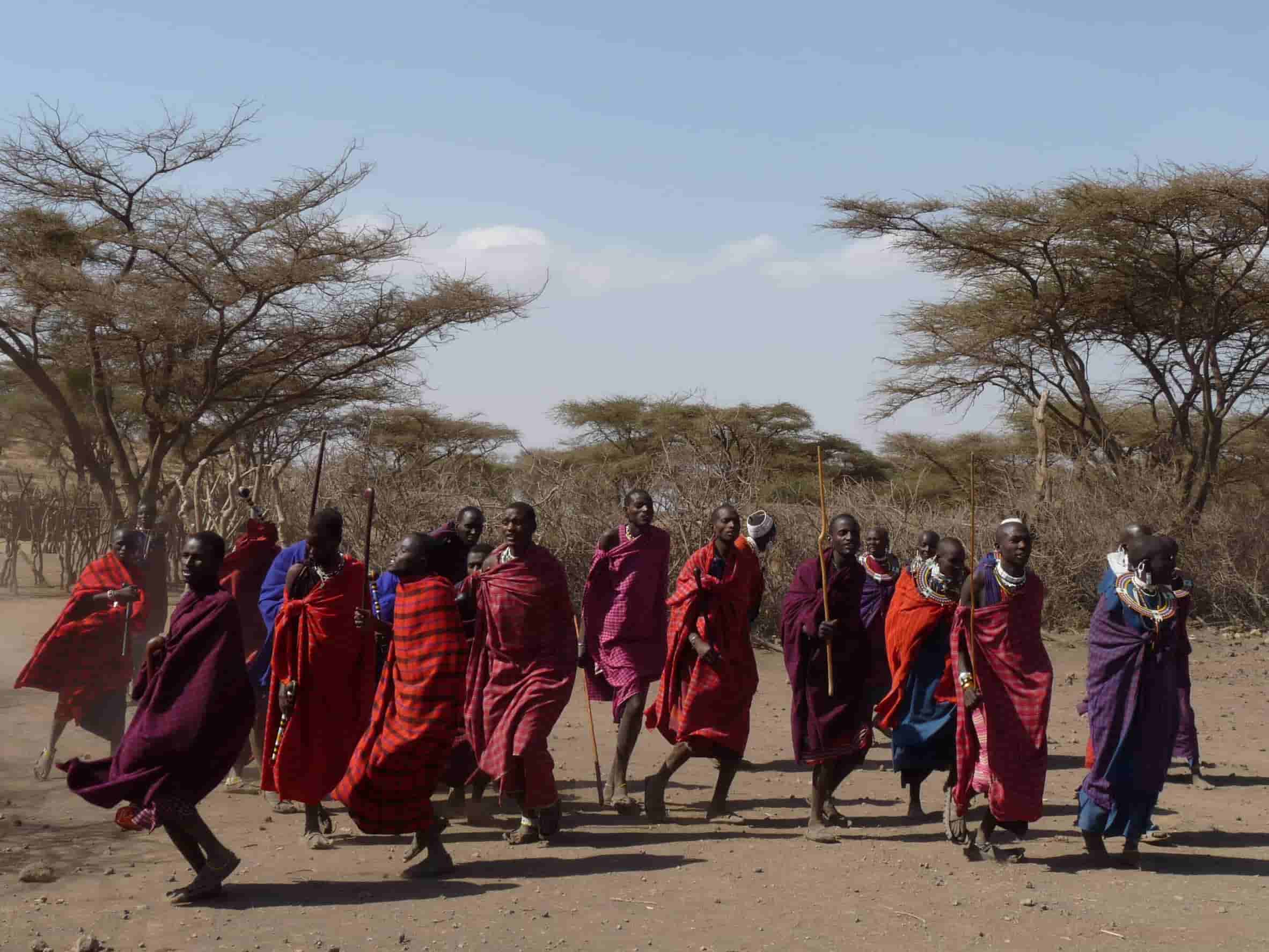 Masai mensen dans