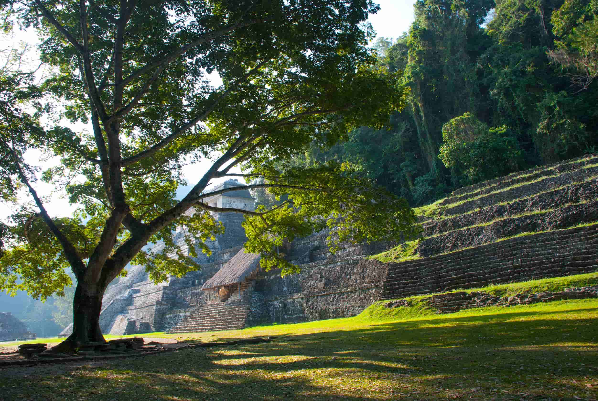 Maya ruïnes in Palenque Chiapas