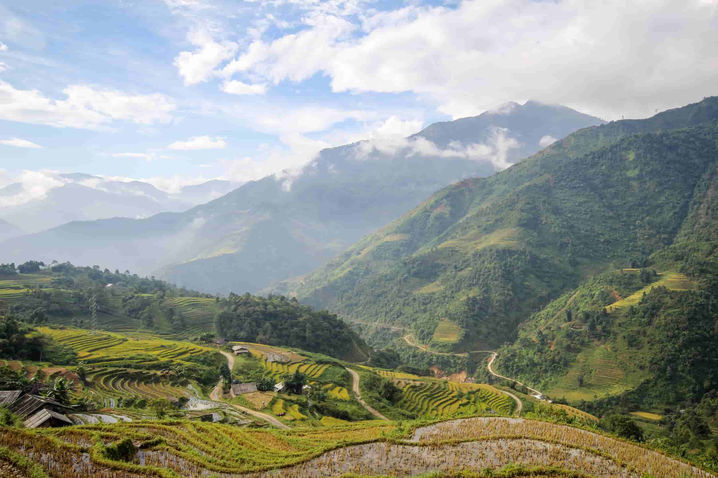 Rijstvelden Sapa