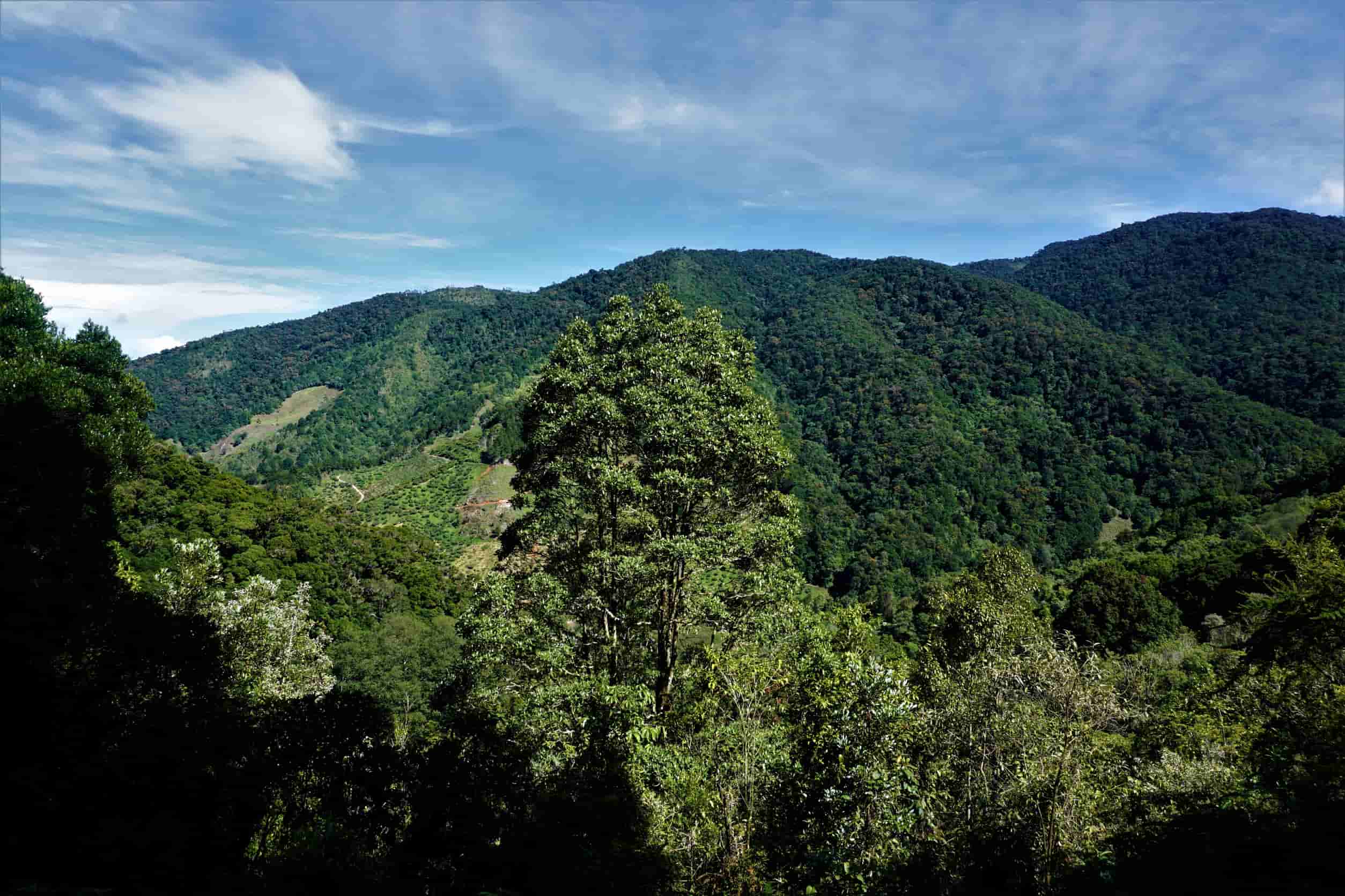  San Gerardo de Dota Costa Rica
