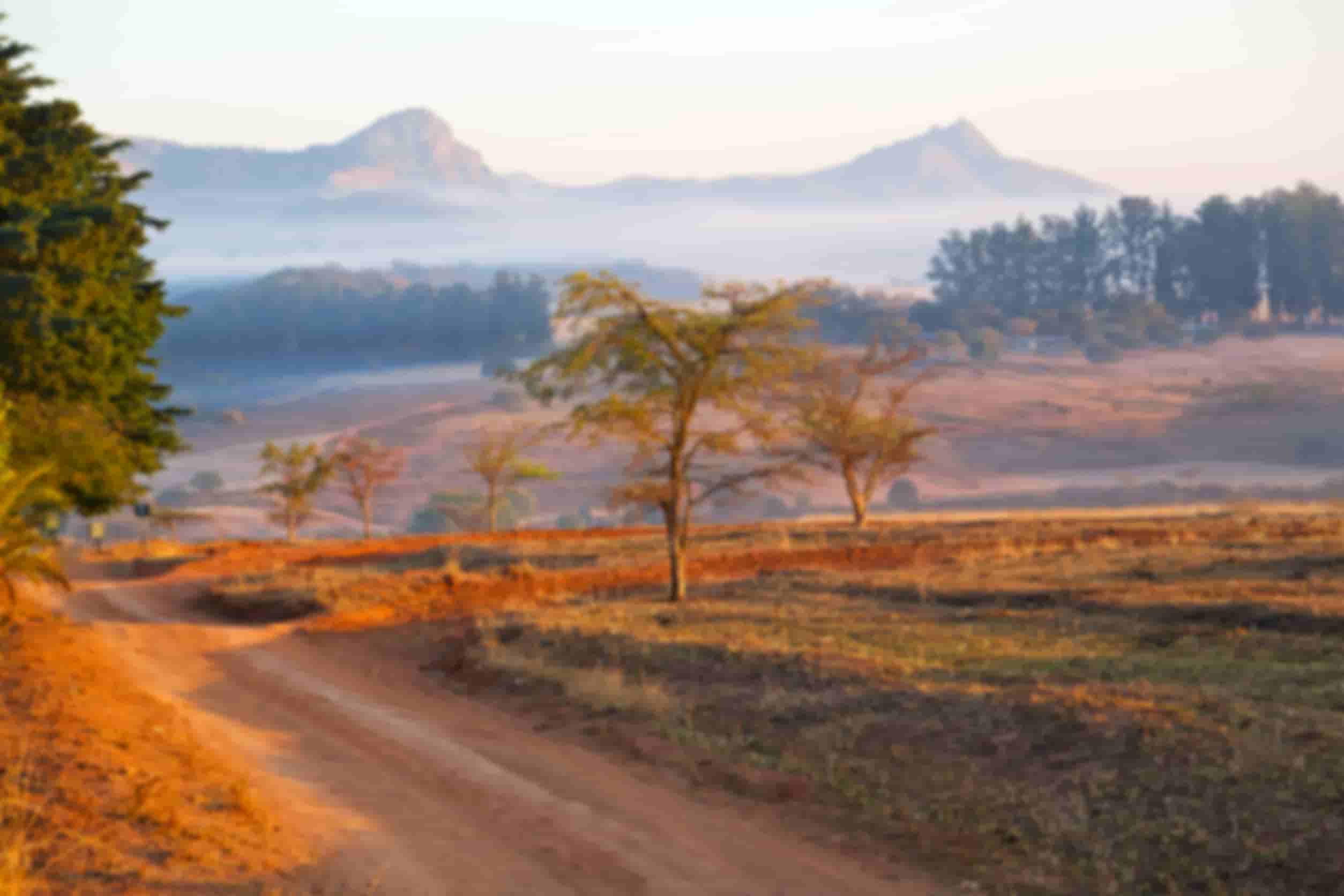 Swaziland Mlilwane Natuurreservaat