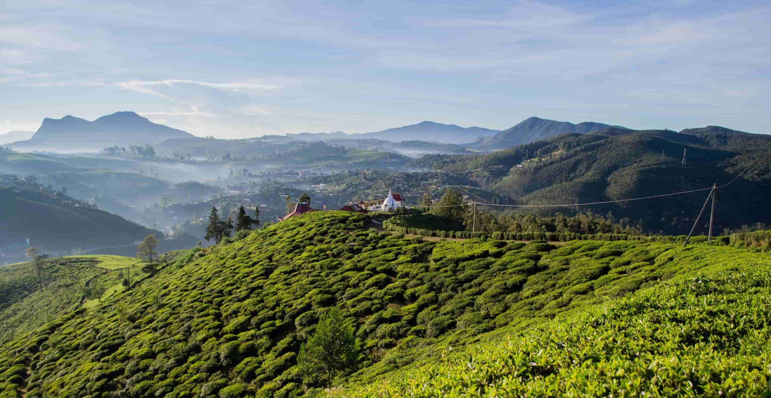 Theevelden Nuwara Eliya 