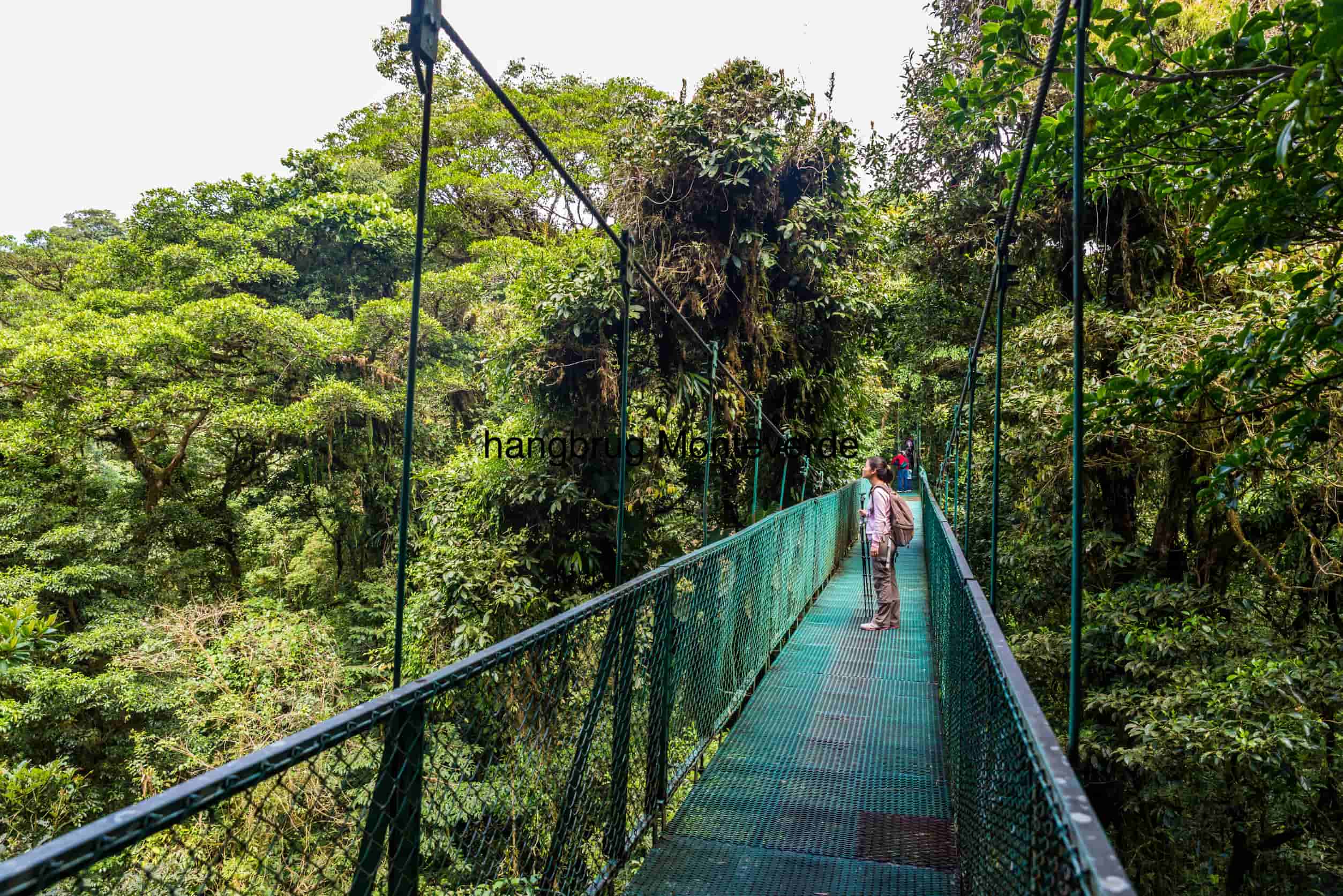 hangbrug Monteverde