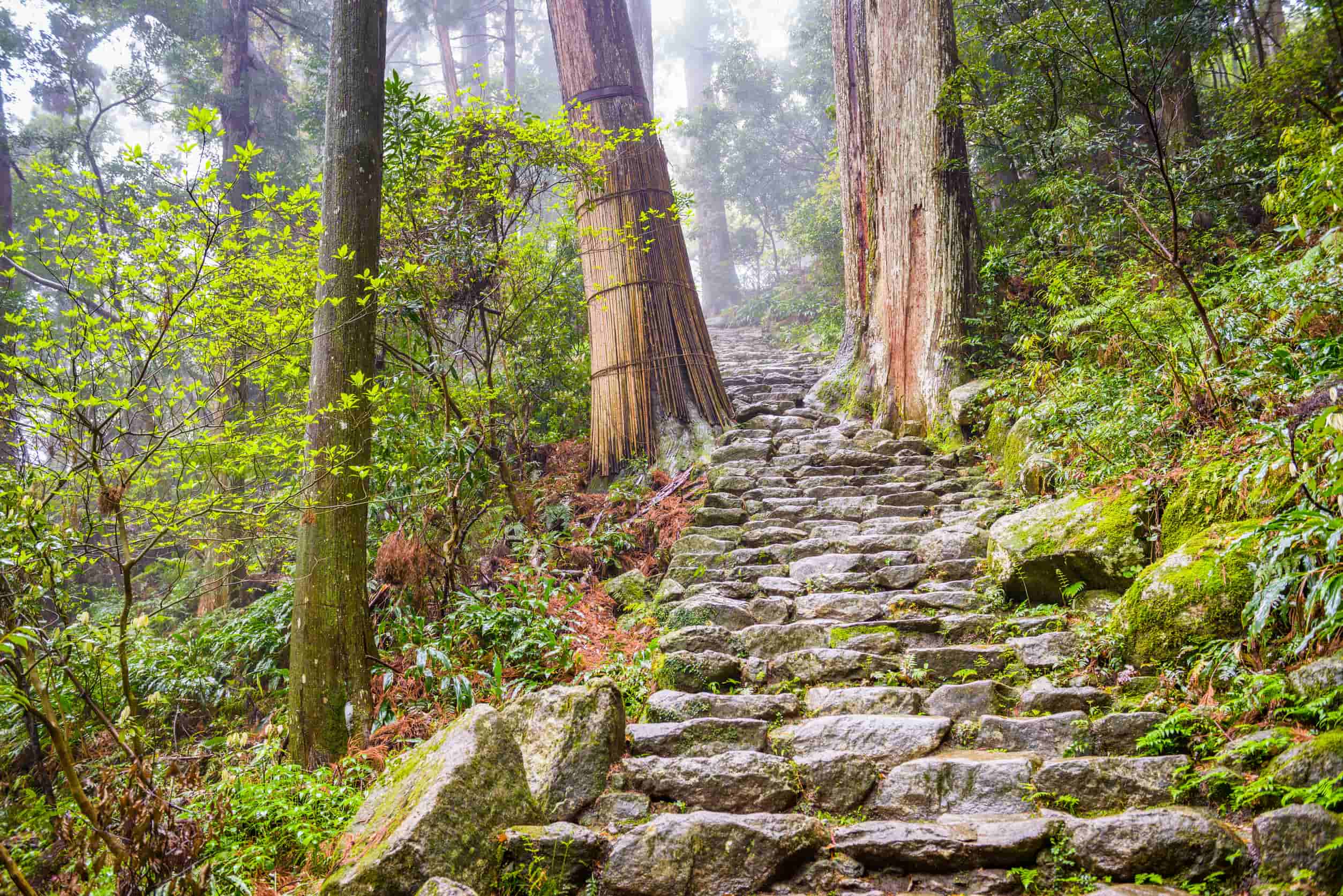 Kumano Kodo pad Japan