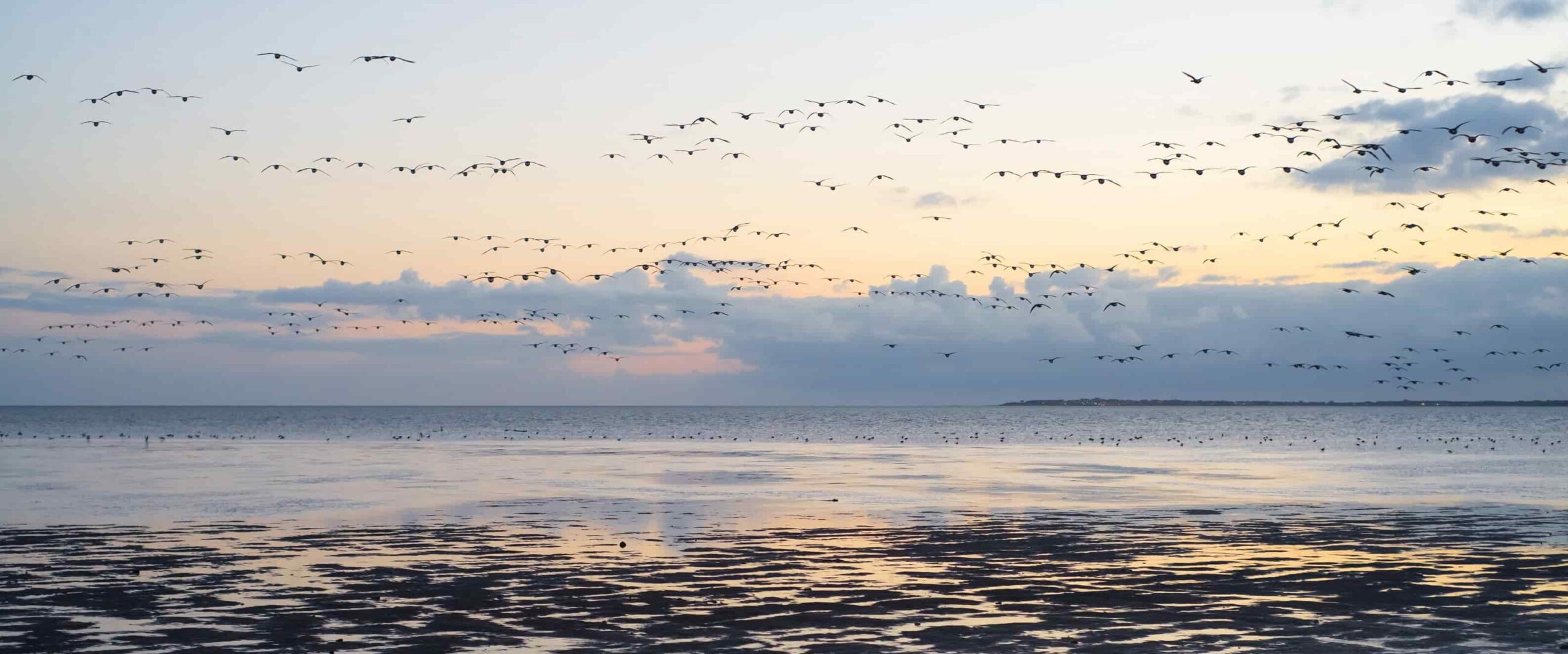 Waddenzee Nederland