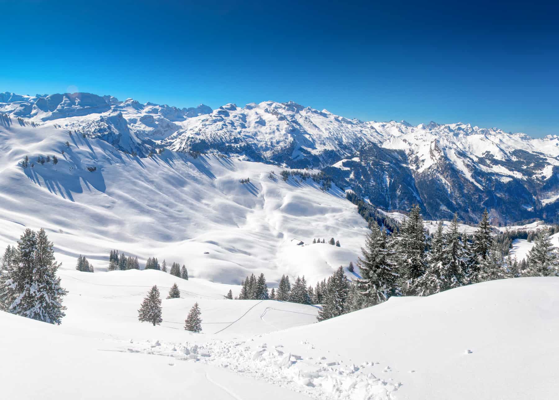 Zwitserse Alpen