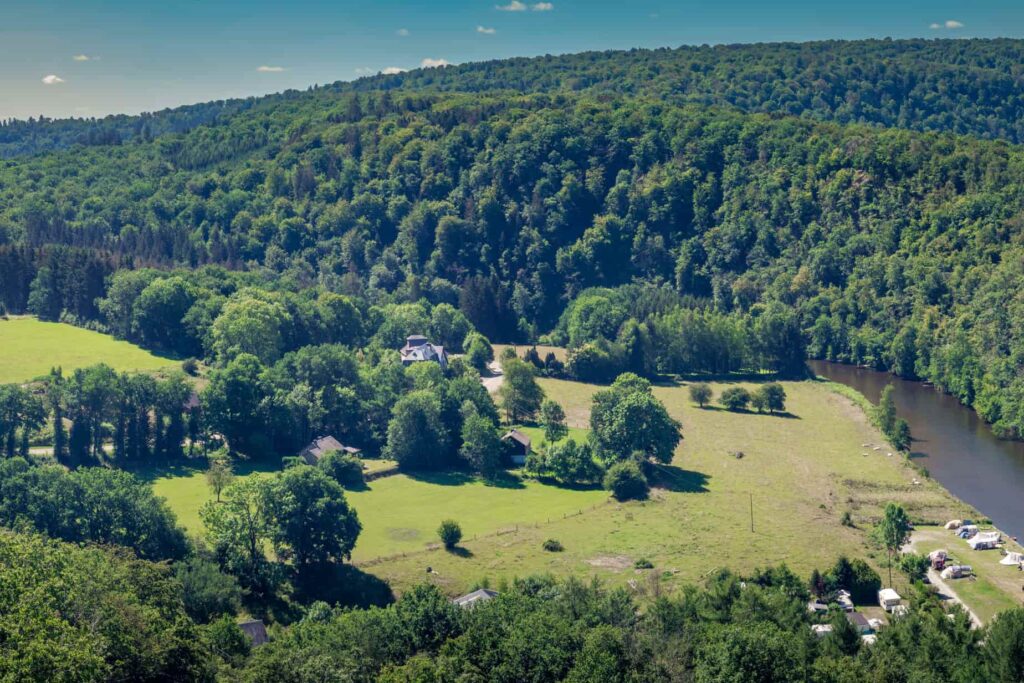 Ardennen bos
