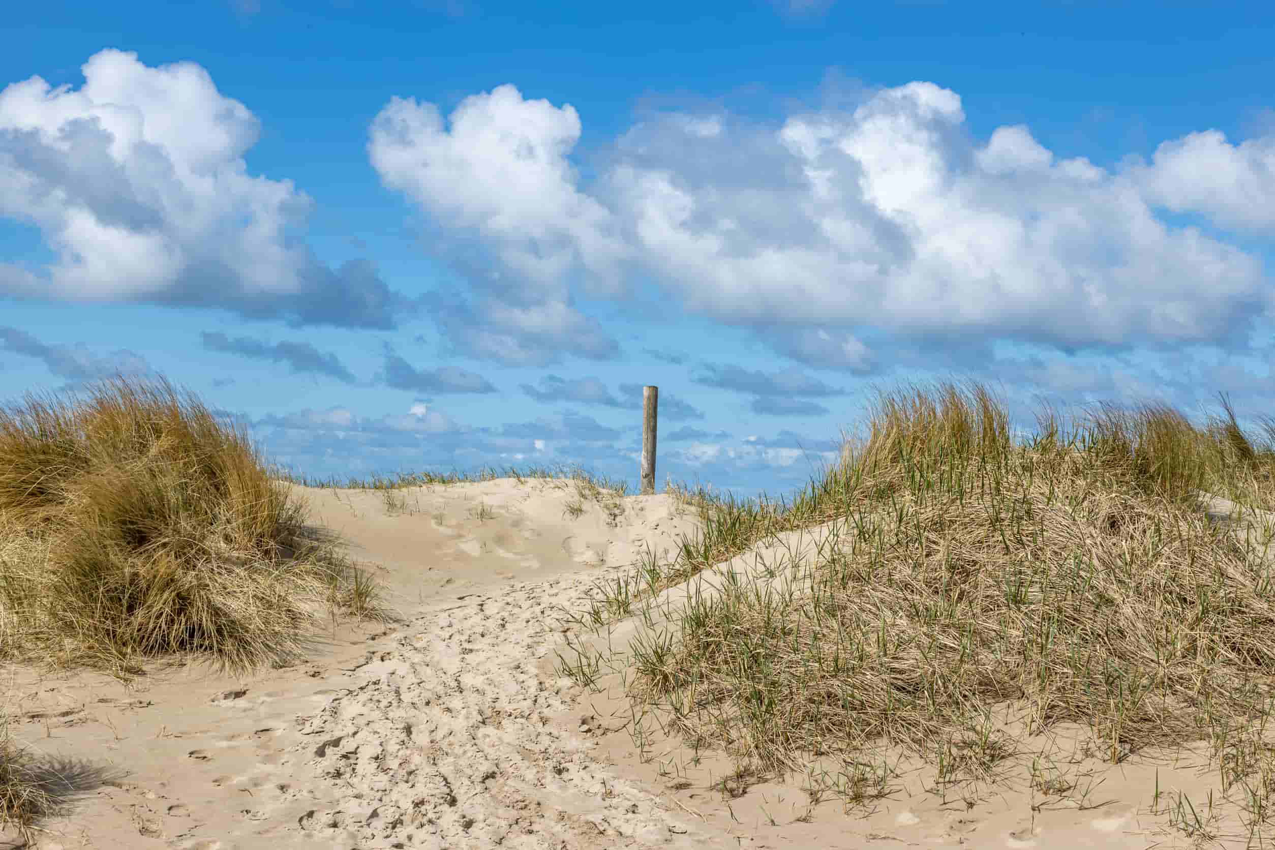 Nederlandse Duinen