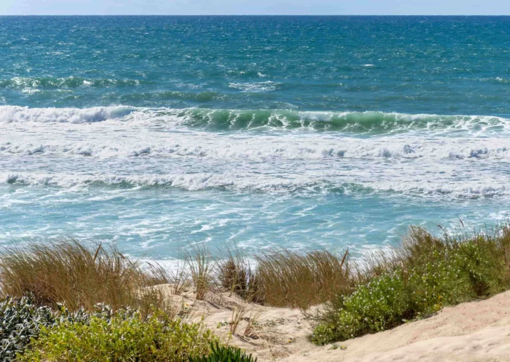 De branding bij surfspot Biscarrosse