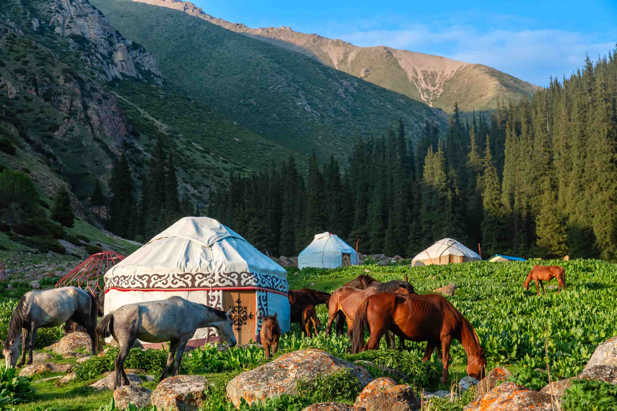 Kirgizie Yurts Altyn Arashan valley